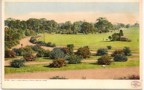 A vintage post card of the Golf Links at Franklin Park, Boston Massachusetts