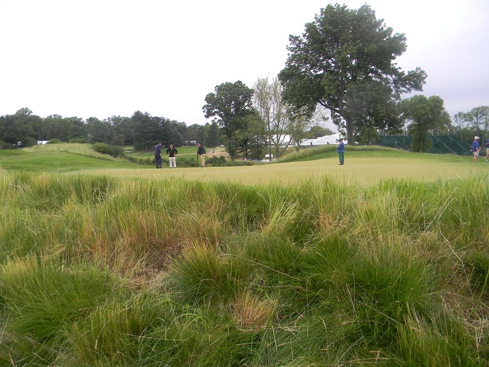 A photo of a a nasty bit of rouhg surrounding a golfing green.